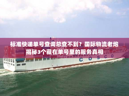 标准快递单号查询总查不到？国际物流老炮揭秘3个藏在单号里的服务真相