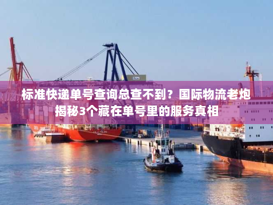 标准快递单号查询总查不到？国际物流老炮揭秘3个藏在单号里的服务真相