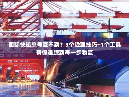 国际快递单号查不到？3个隐藏技巧+1个工具帮你追踪到每一步物流