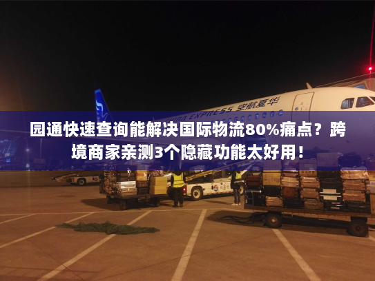 园通快速查询能解决国际物流80%痛点？跨境商家亲测3个隐藏功能太好用！