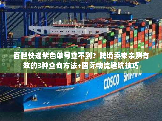 百世快递紫色单号查不到?跨境卖家亲测有效的3种查询方法+国际物流避坑技巧 百世快递紫色单号查不到?跨境卖家亲测有效的3种查询方法+国际物流避坑技巧