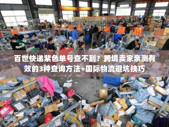 百世快递紫色单号查不到?跨境卖家亲测有效的3种查询方法+国际物流避坑技巧 百世快递紫色单号查不到?跨境卖家亲测有效的3种查询方法+国际物流避坑技巧