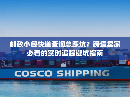 邮政小包快递查询总踩坑？跨境卖家必看的实时追踪避坑指南