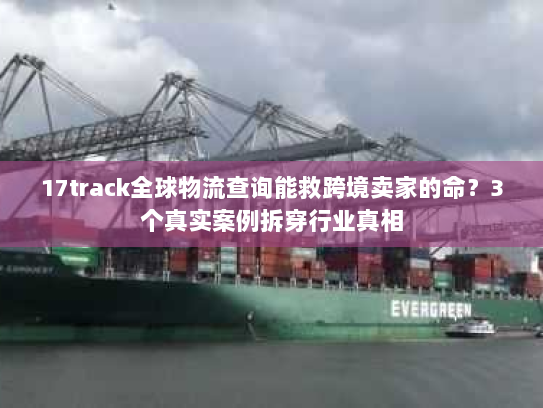 17track全球物流查询能救跨境卖家的命？3个真实案例拆穿行业真相