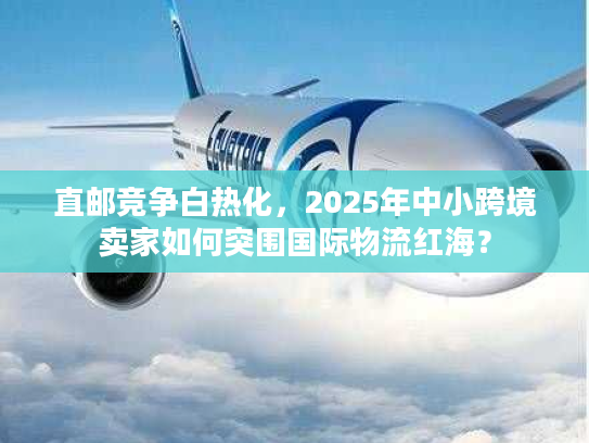 直邮竞争白热化，2025年中小跨境卖家如何突围国际物流红海？