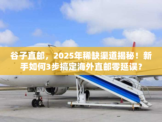 谷子直邮，2025年稀缺渠道揭秘！新手如何3步搞定海外直邮零延误？