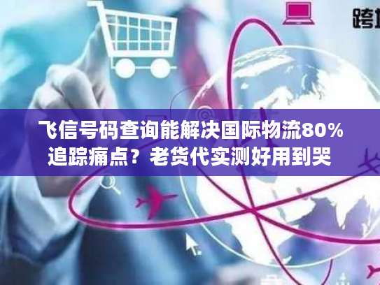 飞信号码查询能解决国际物流80%追踪痛点？老货代实测好用到哭