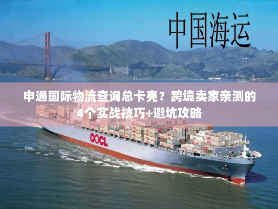 申通国际物流查询总卡壳？跨境卖家亲测的4个实战技巧+避坑攻略