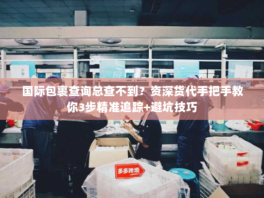国际包裹查询总查不到?资深货代手把手教你3步精准追踪+避坑技巧 国际包裹查询总查不到?资深货代手把手教你3步精准追踪+避坑技巧