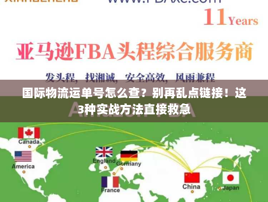 国际物流运单号怎么查？别再乱点链接！这3种实战方法直接救急