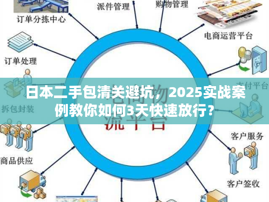日本二手包清关避坑，2025实战案例教你如何3天快速放行？