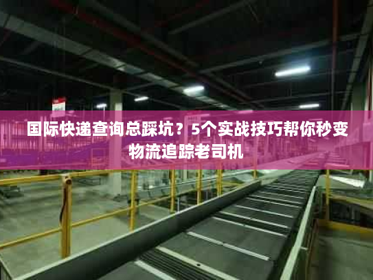 国际快递查询总踩坑？5个实战技巧帮你秒变物流追踪老司机