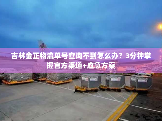 吉林金正物流单号查询不到怎么办?3分钟掌握官方渠道+应急方案 吉林金正物流单号查询不到怎么办?3分钟掌握官方渠道+应急方案