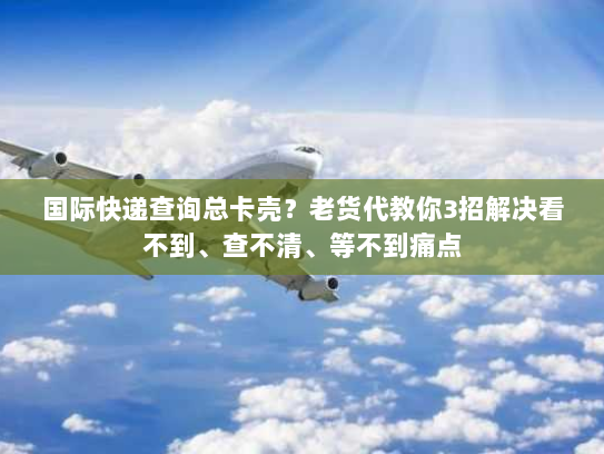国际快递查询总卡壳?老货代教你3招解决看不到、查不清、等不到痛点 国际快递查询总卡壳?老货代教你3招解决看不到、查不清、等不到痛点