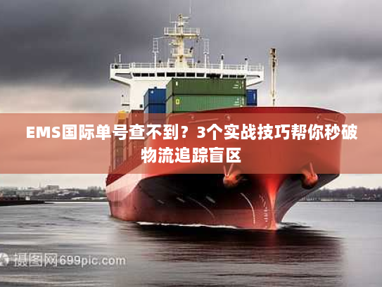 EMS国际单号查不到？3个实战技巧帮你秒破物流追踪盲区