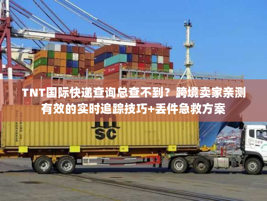 TNT国际快递查询总查不到？跨境卖家亲测有效的实时追踪技巧+丢件急救方案