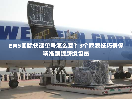 EMS国际快递单号怎么查?3个隐藏技巧帮你精准跟踪跨境包裹 EMS国际快递单号怎么查?3个隐藏技巧帮你精准跟踪跨境包裹