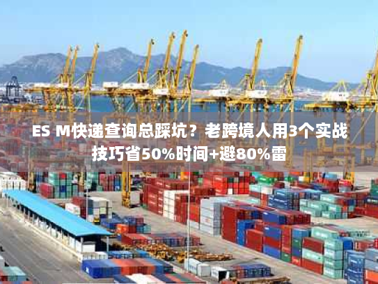 ES M快递查询总踩坑？老跨境人用3个实战技巧省50%时间+避80%雷