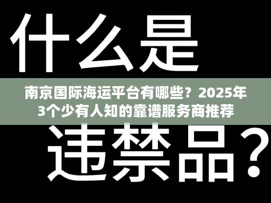 南京国际海运平台有哪些？2025年3个少有人知的靠谱服务商推荐