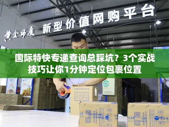 国际特快专递查询总踩坑？3个实战技巧让你1分钟定位包裹位置