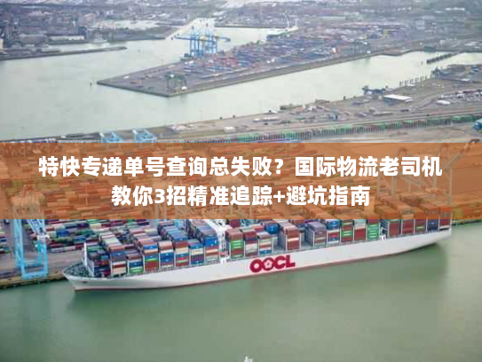 特快专递单号查询总失败？国际物流老司机教你3招精准追踪+避坑指南