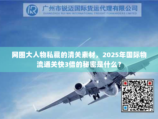 网圈大人物私藏的清关素材，2025年国际物流通关快3倍的秘密是什么？