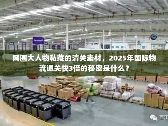 网圈大人物私藏的清关素材，2025年国际物流通关快3倍的秘密是什么？