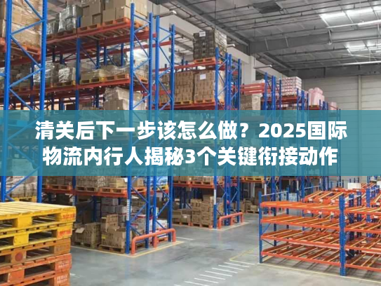清关后下一步该怎么做？2025国际物流内行人揭秘3个关键衔接动作