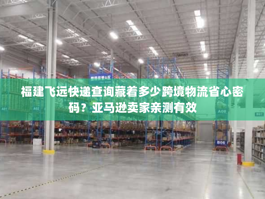 福建飞远快递查询藏着多少跨境物流省心密码？亚马逊卖家亲测有效