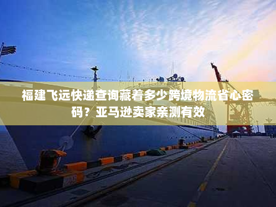 福建飞远快递查询藏着多少跨境物流省心密码？亚马逊卖家亲测有效