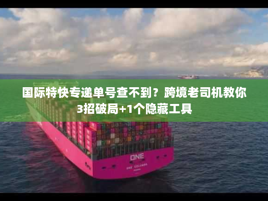 国际特快专递单号查不到?跨境老司机教你3招破局+1个隐藏工具 国际特快专递单号查不到?跨境老司机教你3招破局+1个隐藏工具