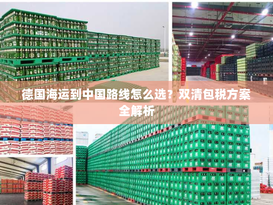 德国海运到中国路线怎么选？双清包税方案全解析