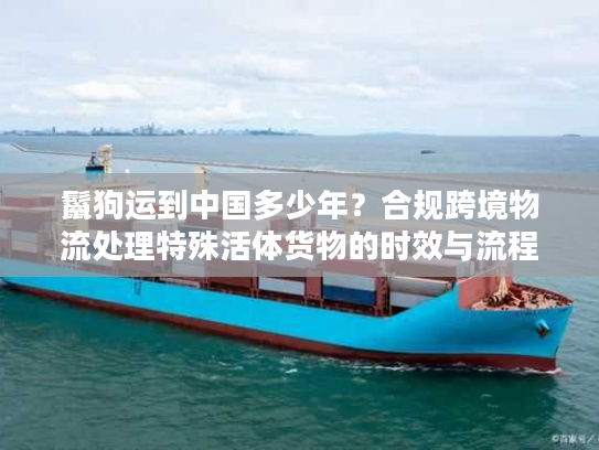 鬣狗运到中国多少年？合规跨境物流处理特殊活体货物的时效与流程
