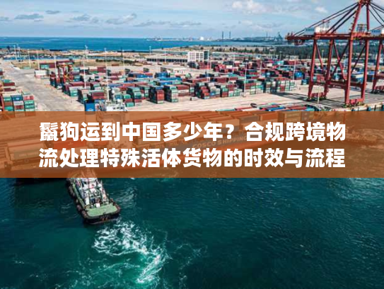 鬣狗运到中国多少年？合规跨境物流处理特殊活体货物的时效与流程