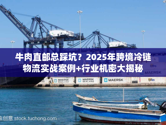 牛肉直邮总踩坑？2025年跨境冷链物流实战案例+行业机密大揭秘