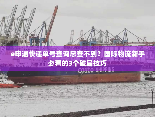 e申通快递单号查询总查不到?国际物流新手必看的3个破局技巧 e申通快递单号查询总查不到?国际物流新手必看的3个破局技巧