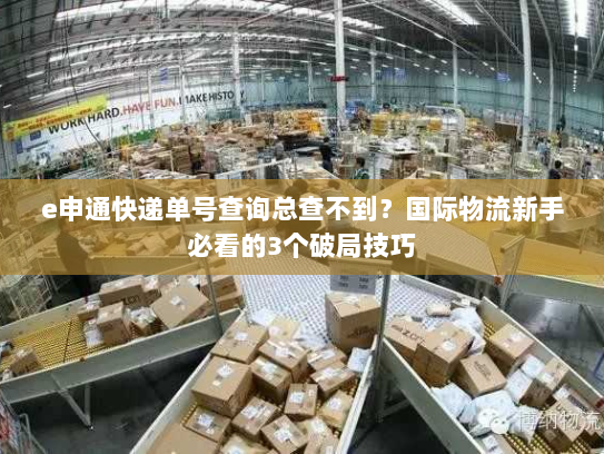 e申通快递单号查询总查不到？国际物流新手必看的3个破局技巧