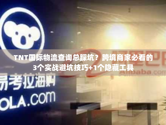 TNT国际物流查询总踩坑?跨境商家必看的3个实战避坑技巧+1个隐藏工具 TNT国际物流查询总踩坑?跨境商家必看的3个实战避坑技巧+1个隐藏工具