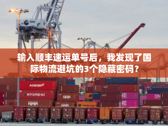 输入顺丰速运单号后，我发现了国际物流避坑的3个隐藏密码？