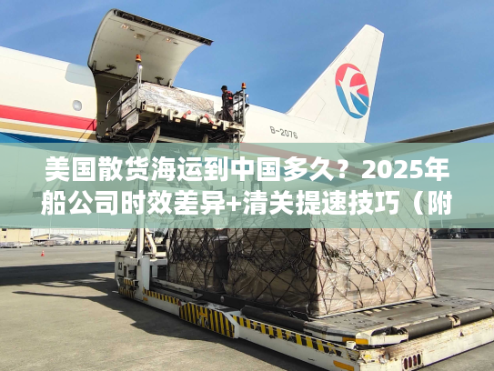 美国散货海运到中国多久？2025年船公司时效差异+清关提速技巧（附真实案例）