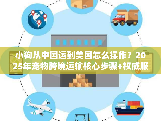 小狗从中国运到美国怎么操作？2025年宠物跨境运输核心步骤+权威服务商推荐