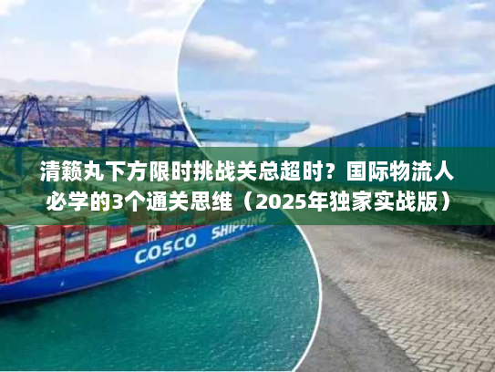清籁丸下方限时挑战关总超时？国际物流人必学的3个通关思维（2025年独家实战版）