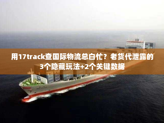 用17track查国际物流总白忙？老货代泄露的3个隐藏玩法+2个关键数据