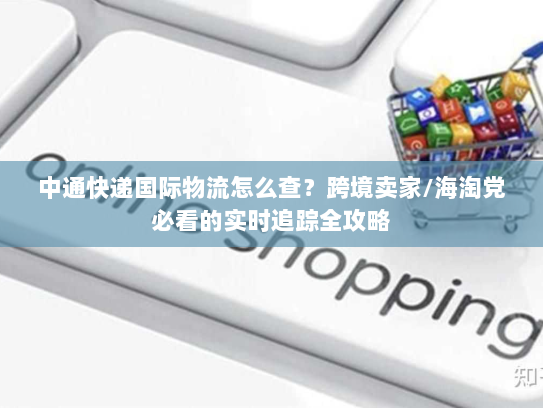 中通快递国际物流怎么查？跨境卖家/海淘党必看的实时追踪全攻略