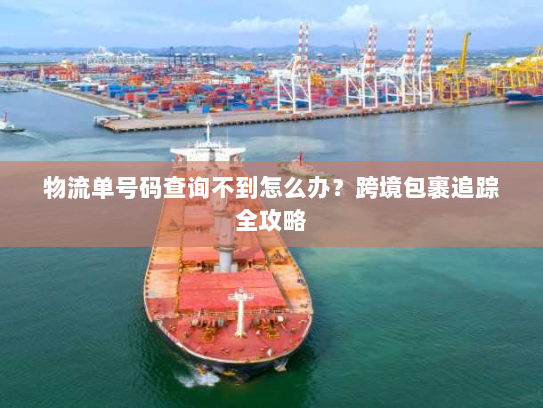 物流单号码查询不到怎么办？跨境包裹追踪全攻略