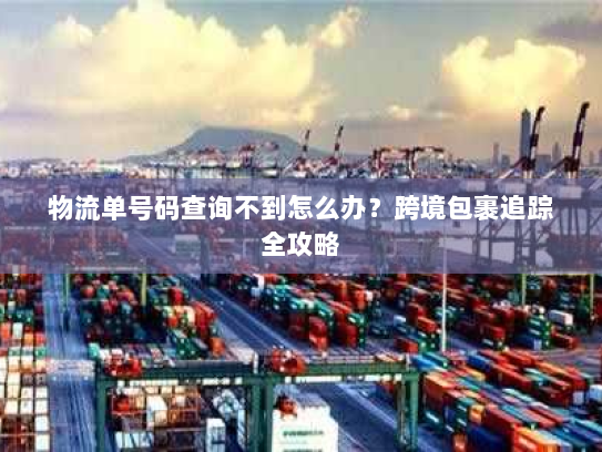 物流单号码查询不到怎么办?跨境包裹追踪全攻略 物流单号码查询不到怎么办?跨境包裹追踪全攻略