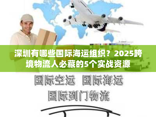 深圳有哪些国际海运组织？2025跨境物流人必藏的5个实战资源