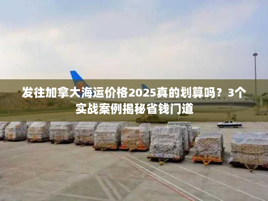 发往加拿大海运价格2025真的划算吗？3个实战案例揭秘省钱门道