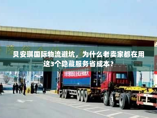 贝安琪国际物流避坑，为什么老卖家都在用这3个隐藏服务省成本？