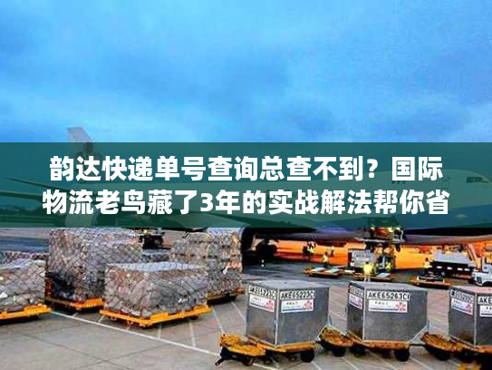 韵达快递单号查询总查不到？国际物流老鸟藏了3年的实战解法帮你省80%时间